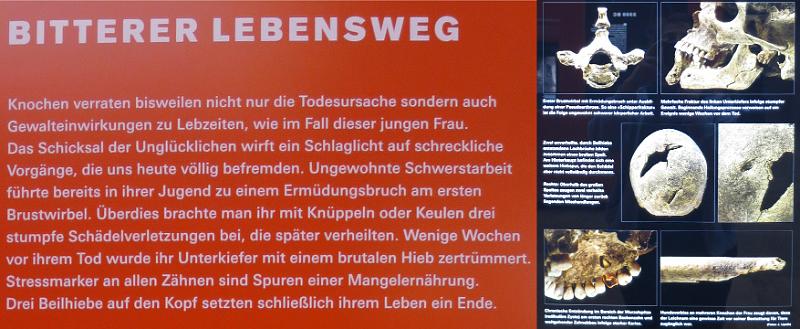 Halle_ (132).jpg